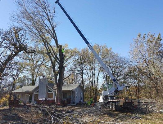 Crane removal of large tree damaged by storm