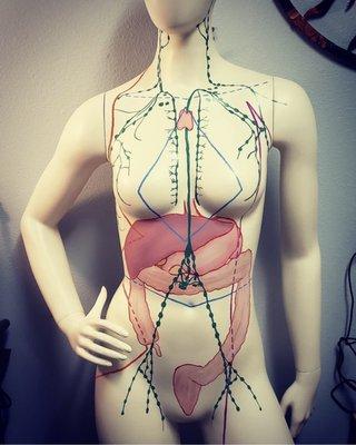 Lymphatic Drainage   Massage