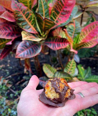 Chocolate Coconut Macaroon!