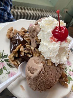 Hot Fudge Brownie Sundae