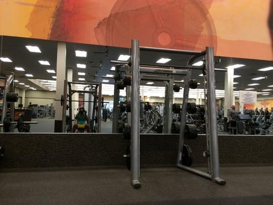 Weights and cardio, all in one floor!