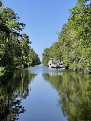 Historic Dismal Swamp Canal, 
#DSCmm28