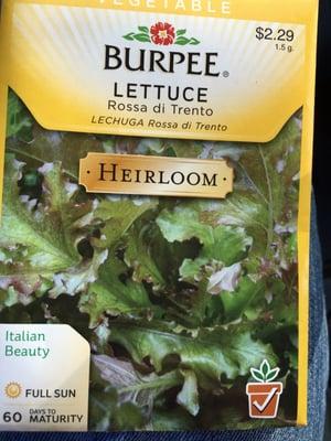 Picked up this great heirloom lettuce here, very tasty.