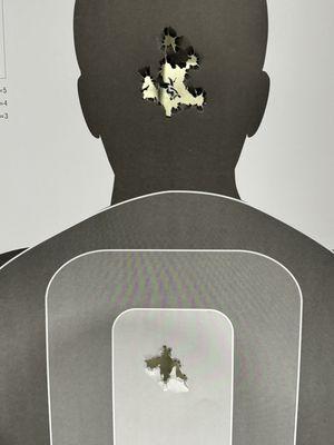 Sig P320 9mm at 25 feet