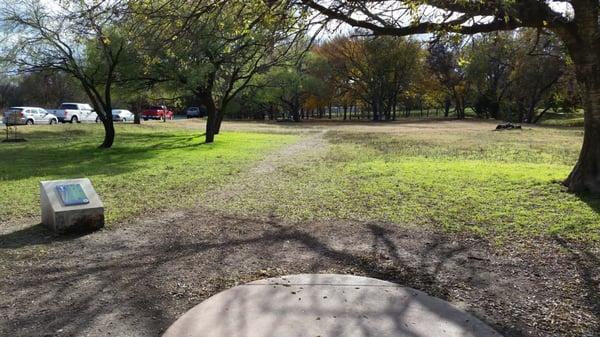 Hole 31 Tee Box View (in the Fall). The basket in the front left of the image past the low hanging tree truck