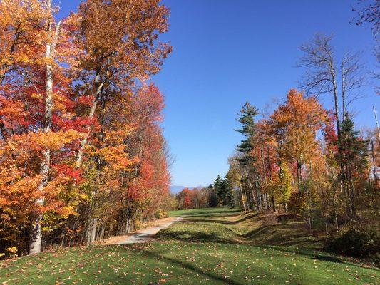 View from the 3rd hole white tee.