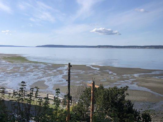 View from the back deck