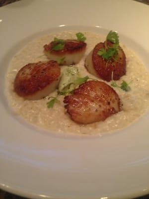 Diver scallops w/ rissoto and basil goat cheese