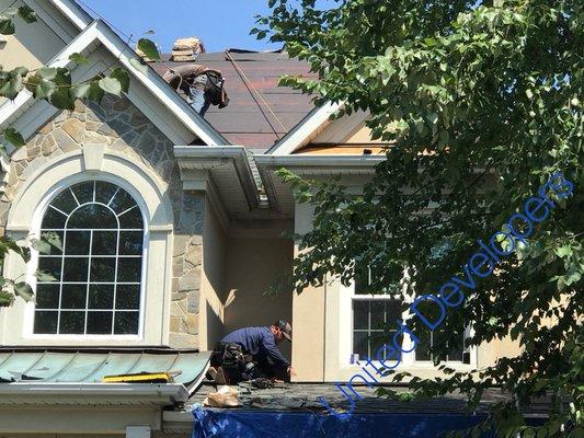 3800 Sq/Ft Roofing changing plywood and shingles