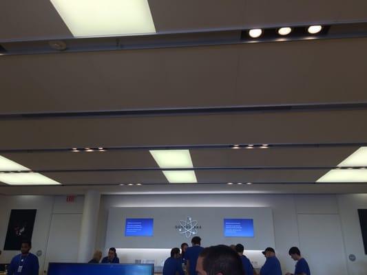 Ceiling view on iPhone 6 launch day!