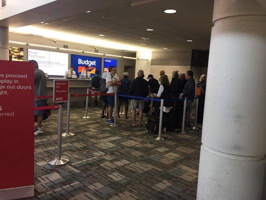 No lines anywhere but Budget Car Rental at MSP airport. One hour wait!