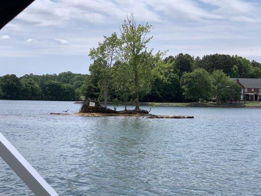 Little island on a sandbar