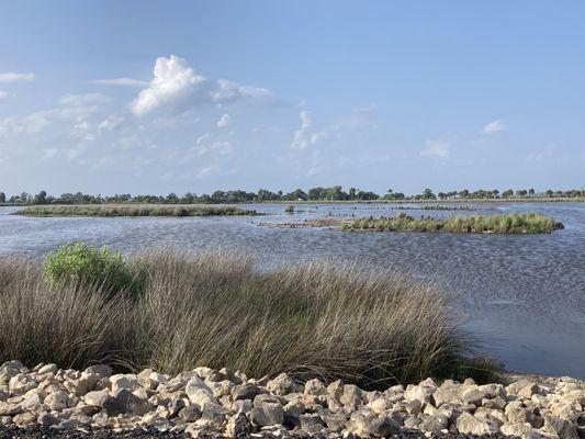 St. Marks Wildlife Refuge