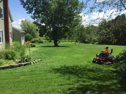 cutting grass