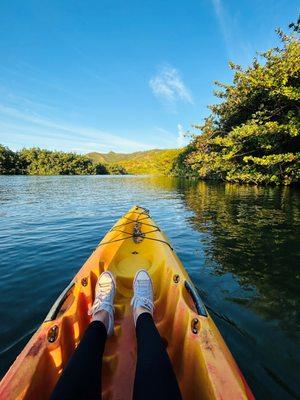 Wailua Kayak Adventures