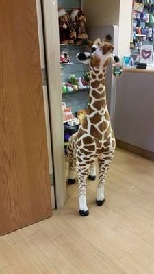 I love giraffes (geeraffs)