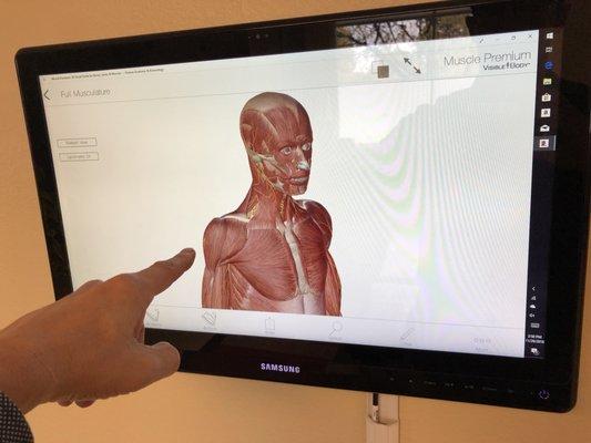 We have special software on a touch screen on the wall, where we teach you about your body