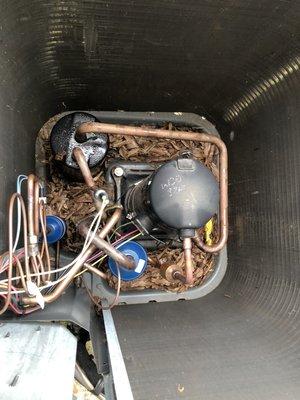 Removing leaves from a condenser