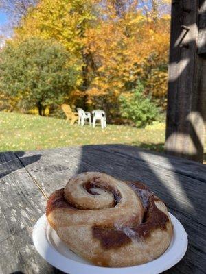 Cinnamon roll- still warm