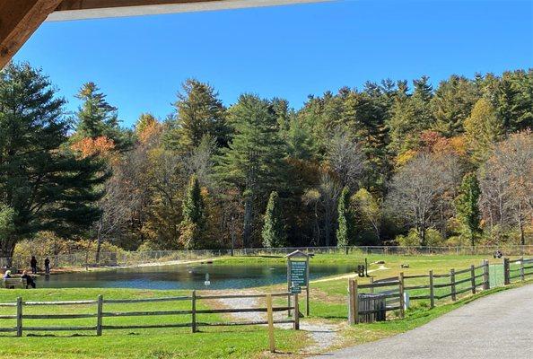 Our stock trout pond!