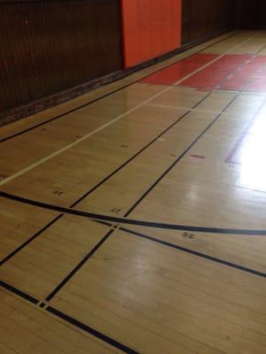 The red is the baseline for the volleyball court.