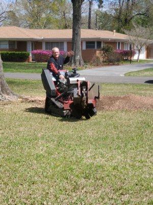 John grinds out tree stump after he cut the tree down. He's neat and thorough.