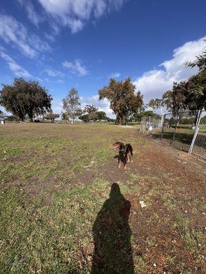 Dog park.