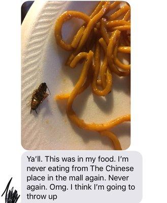 Bug in the  food