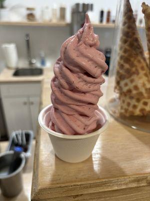 Raspberry Infused Frozen Yogurt