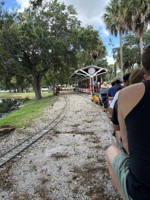 Train pulling into the station.