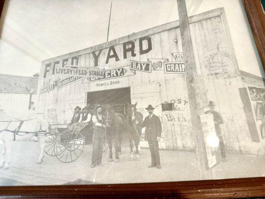 Is this your business back in 1910 in Lemoore? I have an old photo.