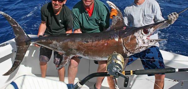 Stuart Florida's Private Fishing Charter 100% Caught'n catch of the day, Sailfish