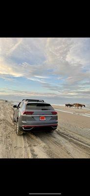 Car on the beach