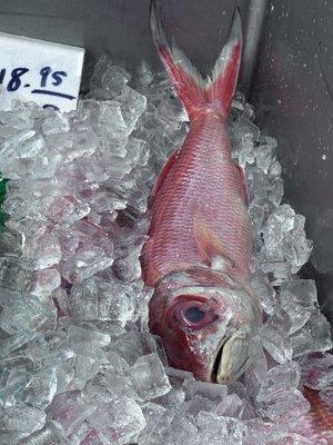 Onaga (Hawaiian red snapper)