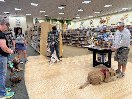 Behaving calmly while owners shop in a store is certainly a great skill to have.