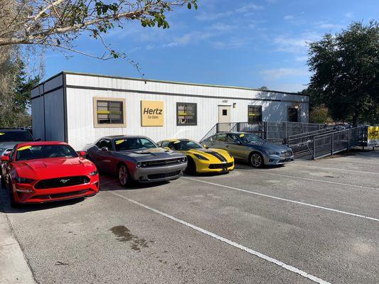 Hertz Car Sales Orlando