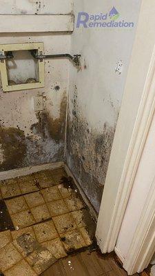 Mold Remediation