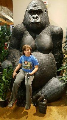 Gavin and the Giant Gorilla at Ashley Furniture. We love this store!!!!