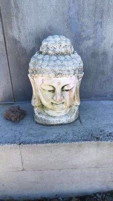 Just a casual Buddha out back.... I like their style...