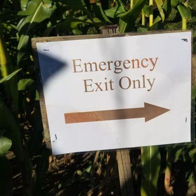 There are four emergency exits. Just head toward the edge of the maze if you are lost.