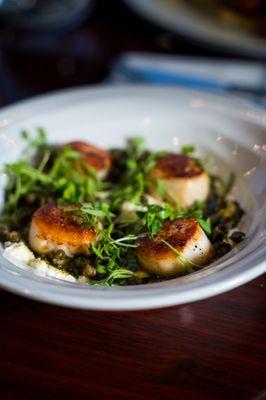 Scallops|Sautéed scallops, fried capers, ricotta, garlic butter.