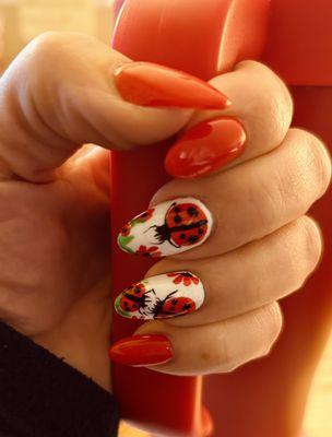 Ladybugs