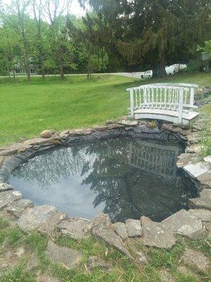 The Pond After Garden State Koi Serviced it May 18, 2021