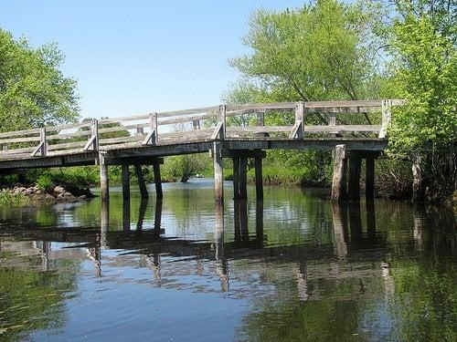 horse bridge