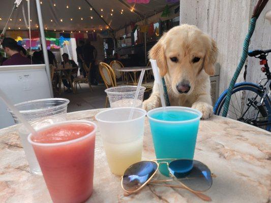 Dog friendly outdoor seating area. Feeling patriotic with our red white and blue frozen margaritas.