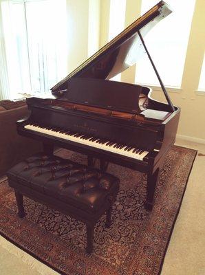 One man and a tight squeeze in an elevator, this 760 lb. beautiful beast is in my apartment!