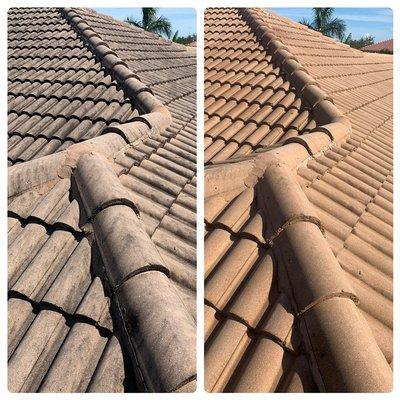 Softwash Roof Cleaning