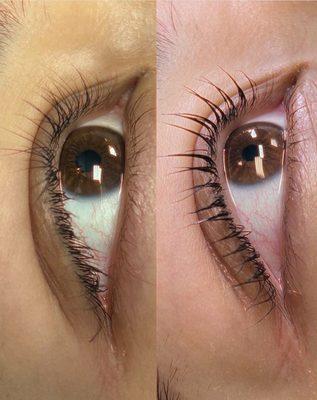 Lash Lift and Tint