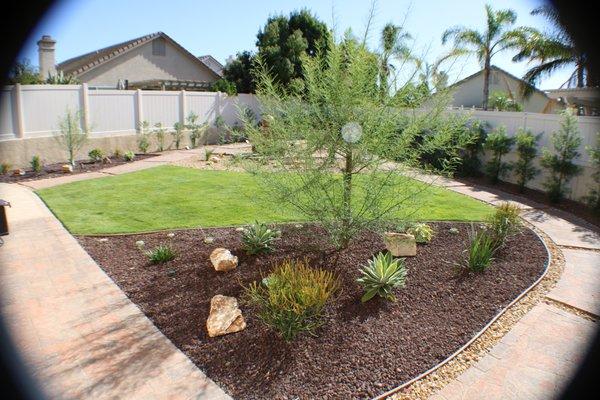 Remodel with drought tolerant plants