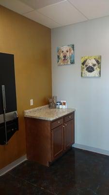 Dog exam room 1